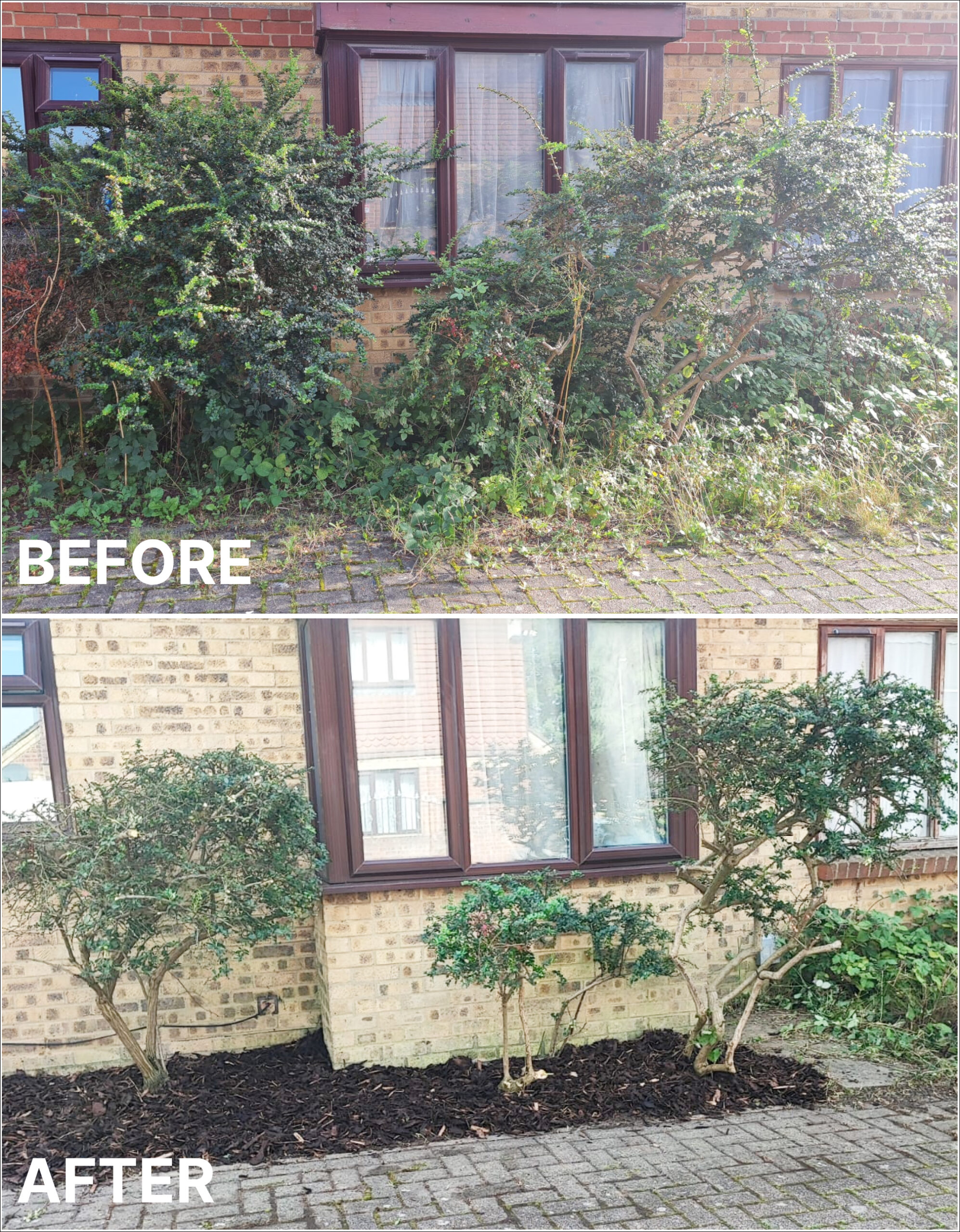 front garden-before-after